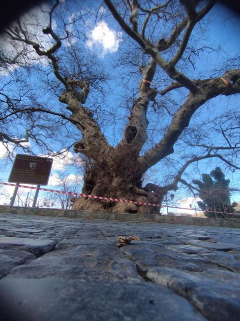 Full-Day Tour:Knossos Palace,Zeus Cave & Lassithi Plateau - Important Information