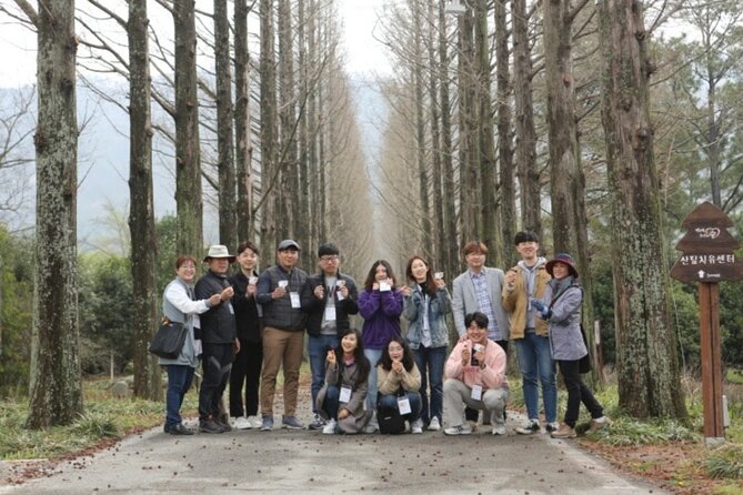 Full-Day Traditional Healing Tour in Naju Korea, KTourTOP10 - Historical Landmarks and Cultural Immersion
