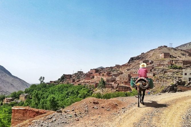 Full Day Trek to High Atlas Mountains (GOOD LEVEL OF FITNESS REQUIRED) - Highlights of the Trekking Route