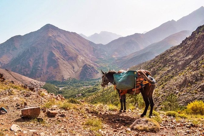 Full Day Trek to High Atlas Mountains (GOOD LEVEL OF FITNESS REQUIRED) - Safety Precautions and Equipment Needed