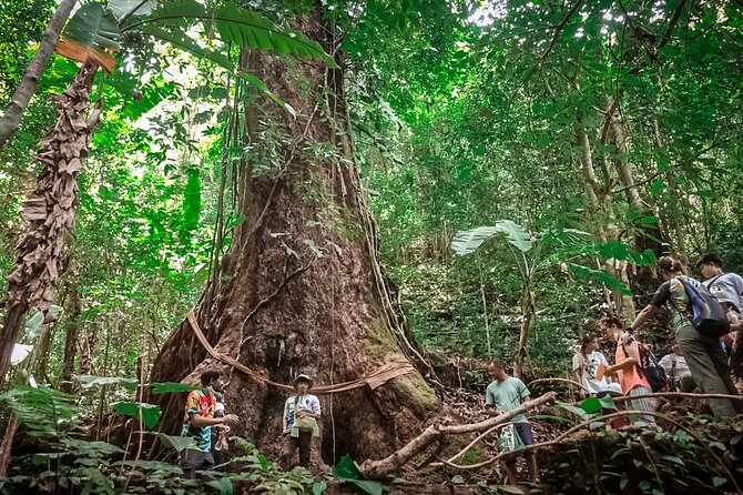 Full-Day Trekking and Sightseeing Tour in Mae Kampong - Safety and Equipment