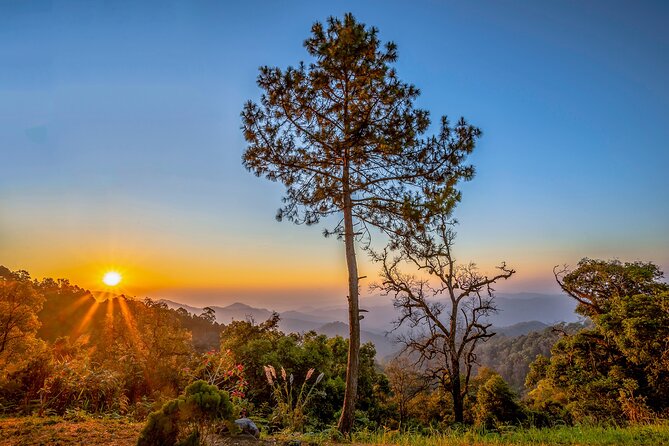 Full-Day Trekking and Sightseeing Tour in Mae Kampong - Booking and Contact Information