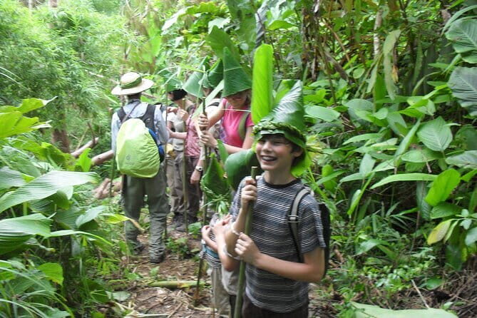 Full Day Trekking & bamboo cooking Tour in Chiang Rai - A Deep Dive into the Tour Experience