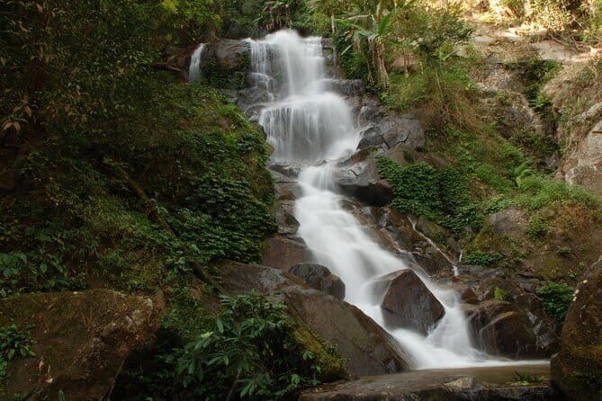 Full Day Trekking & bamboo cooking Tour in Chiang Rai - What Travelers Love About This Tour