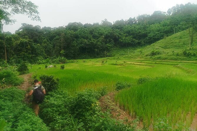 Full Day Trekking & bamboo cooking Tour in Chiang Rai - Exploring Chiang Rai’s Natural and Cultural Treasures