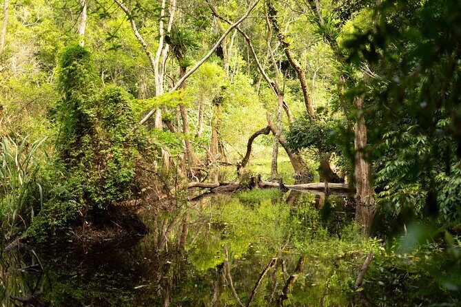 Full Day Trekking Cat Ba National Park, Viet Hai Village, biking - Good To Know