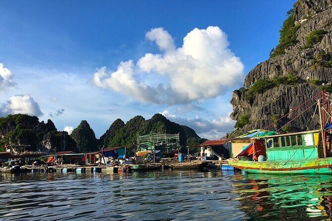 Full-Day Trekking Explore Cat Ba National Park, Viet Hai Village - Frequently Asked Questions