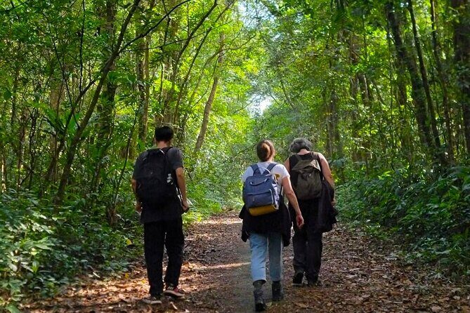 Full-Day Trekking: Explore Cat Ba National Park, Viet Hai Village - Good To Know