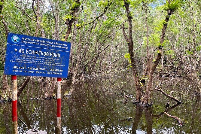 Full-Day Trekking: Explore Cat Ba National Park, Viet Hai Village - Practical Details & Considerations