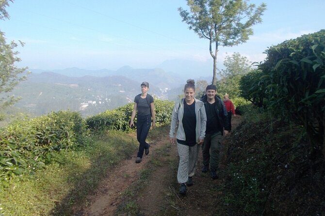 Full-Day Trekking in Kerala, India - The Sum Up: Is It Worth It?