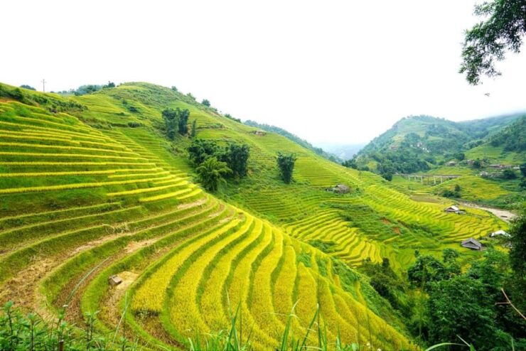 Full Day Trekking Lao Chai-Ta Van and Cat Cat Village - Village Exploration