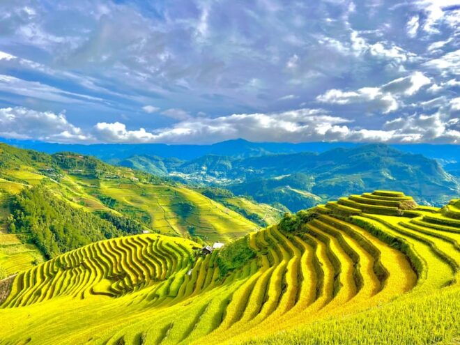 Full Day Trekking Mu Cang Chai - Participant Information