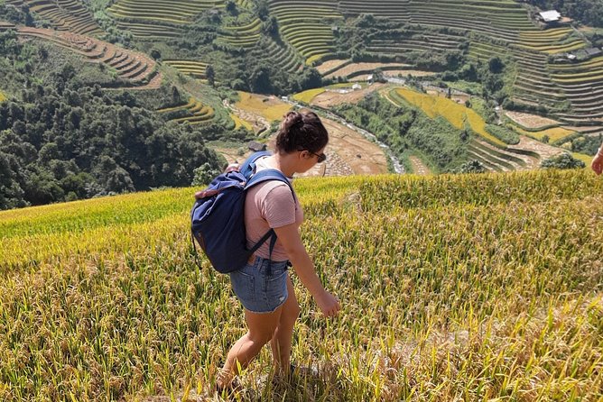 Full Day Trekking Mu Cang Chai - Inclusions and Itinerary Details