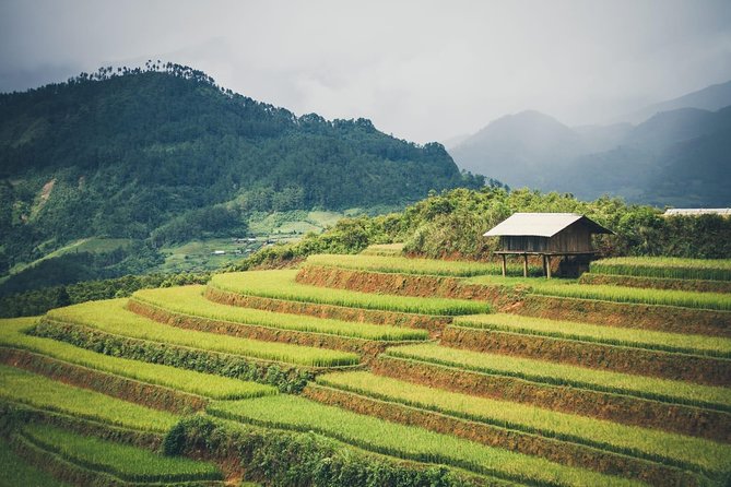 Full Day Trekking Mu Cang Chai - Start Time and End Point