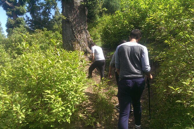 Full-day Trekking Tour to Mohanmarg Meadow - Who is This Tour Best Suited For?