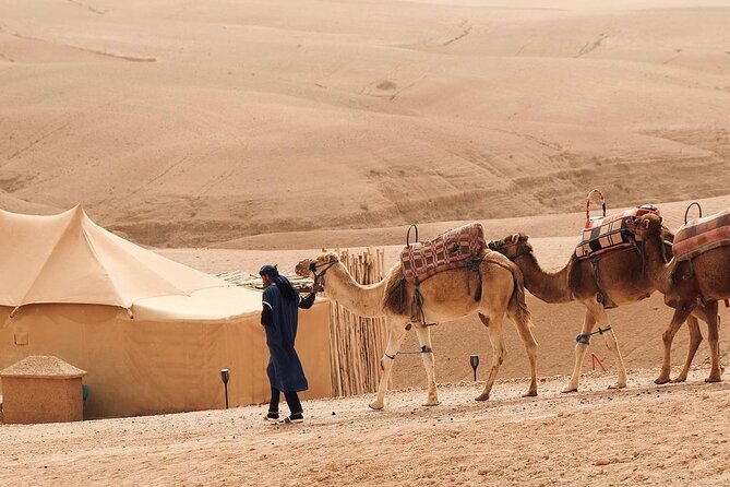 Full Day Trip Agafay Desert Atlas Mountains Camel Ride Quad Bike - Inclusions and Exclusions