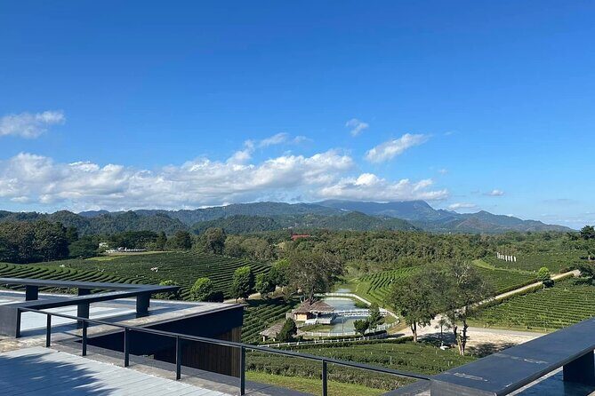 Full Day Trip Around Chiang Rai Highlights with Pick up - FAQ