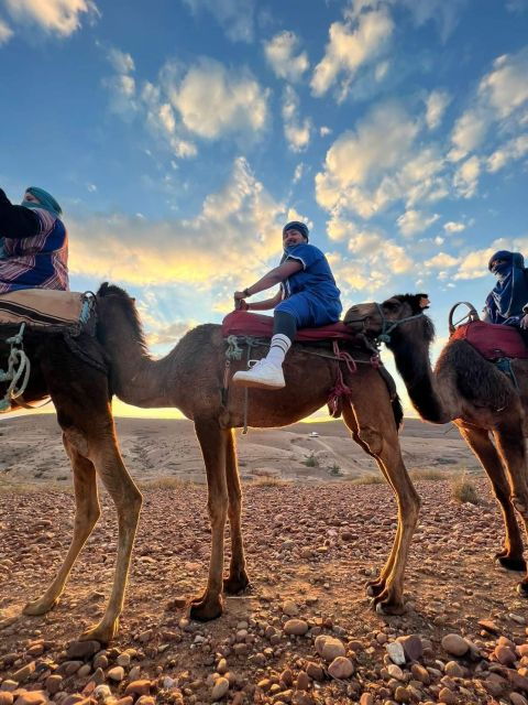 Full Day Trip Atlas Mountain and Agafay Desert Tour - Activities During the Tour