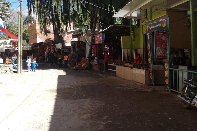 Full Day Trip, Atlas Mountains, Day Tour Ourika Valley, Berber Vellages - Customer Reviews