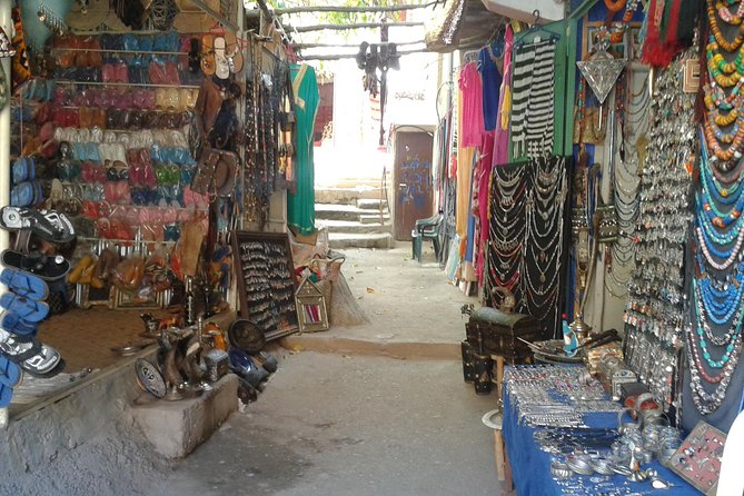 Full Day Trip, Atlas Mountains, Day Tour Ourika Valley, Berber Vellages - Traveler Recommendations