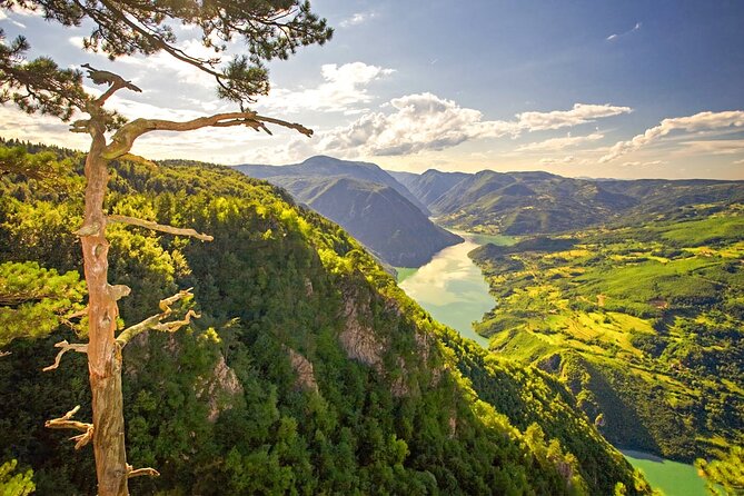 Full Day Trip From Belgrade: the Drina River House and Tara Park Tour - Tour Highlights
