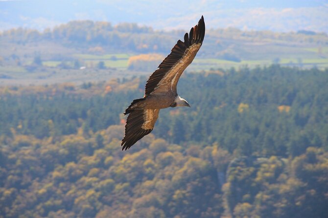 Full Day Trip From Belgrade: Uvac Nature Reserve Tour - Tour Overview