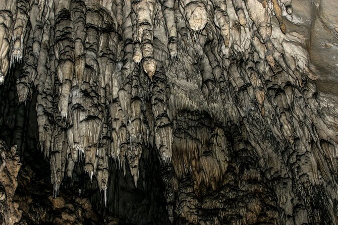 Full Day Trip From Belgrade: Uvac Nature Reserve Tour - Frequently Asked Questions