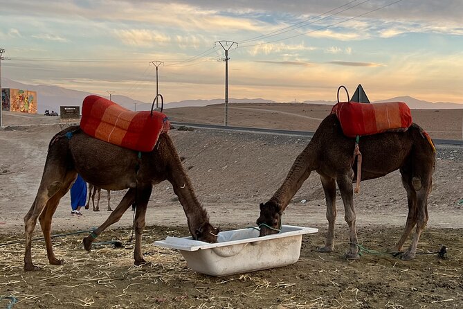 Full Day Trip From Casablanca to Atlas Mountain and Agafay Desert - Itinerary Highlights