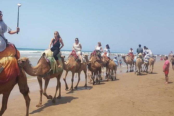Full Day Trip From Casablanca Totangier by the High Speed Train - Booking and Price Details
