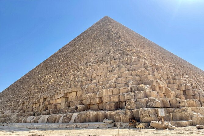 Full Day Trip From Hurghada to Cairo by Bus - Good To Know