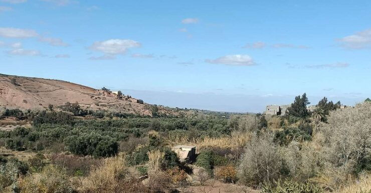 Full Day Trip From Marrakech To 3 Valleys & Berber Villages - Tour Details
