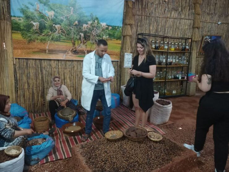 Full Day Trip From Marrakech To Essaouira Mogador - Experience Highlights