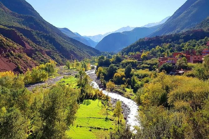 Full Day Trip From Marrakech To Ourika Valley Waterfalls - Highlights of the Full Day Trip
