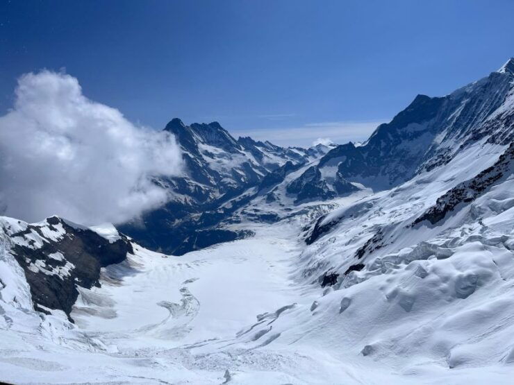 Full Day Trip in the Jungfrau Region - Trip Overview