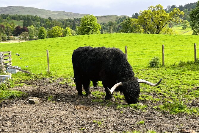 Full-Day Trip: Loch Ness, Glencoe & the Highlands From Edinburgh - Enjoy a Leisurely Lunch in a Picturesque Setting