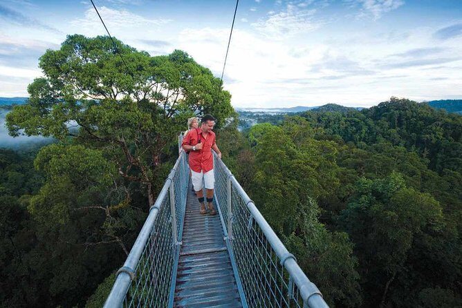 Full Day Trip of Brunei Ulu Temburong National Park including Canopy Walk - The Itinerary in Detail