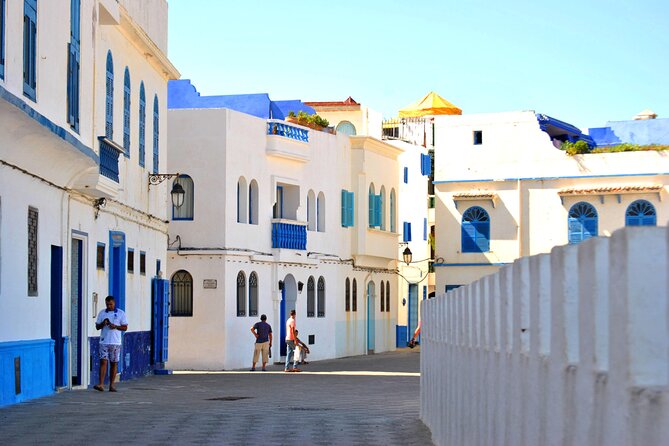 Full-Day Trip Tangier-Asilah - Accessibility Information
