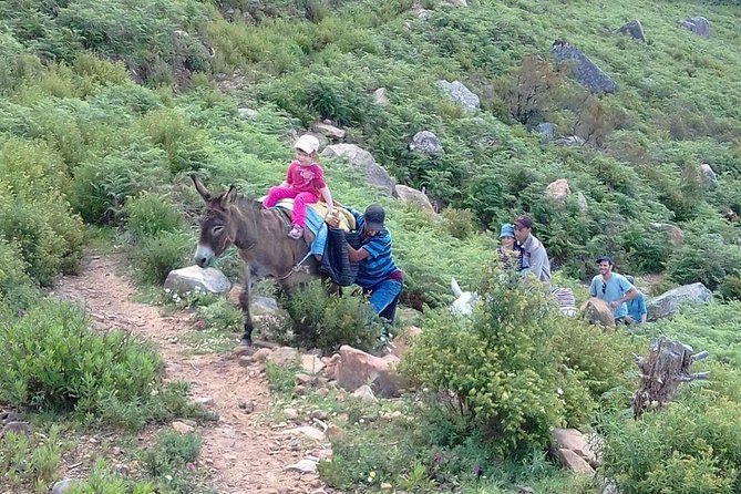 Full Day Trip to Bouhachem Park by Mules, and Chefchaouen - Good To Know