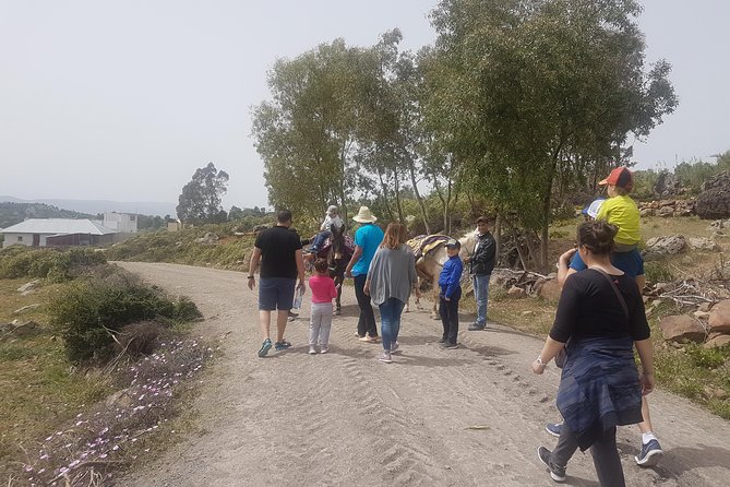 Full Day Trip to Bouhachem Park by Mules, and Chefchaouen - Cancellation Policy