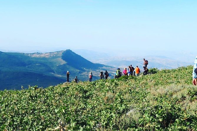 Full Day Trip to Bouhachem Park by Mules, and Chefchaouen - Customer Review