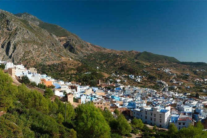 Full Day Trip to Bouhachem Park by Mules, and Chefchaouen - Tour Itinerary and Experience