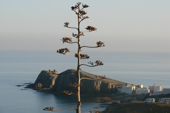 Full-Day Trip to Cabo De Gata Natural Park - Booking and Availability