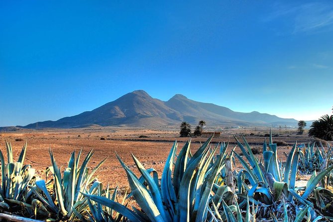 Full-Day Trip to Cabo De Gata Natural Park - The Sum Up