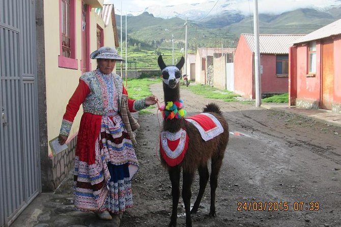 Full Day Trip to Colca Canyon From Arequipa - Inclusions and Itinerary