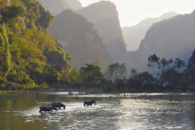 Full Day Trip to Discover Ninh Binh – Hoa Lu – Tam Coc From Ha Noi - Destination: Ninh Binh – Hoa Lu – Tam Coc