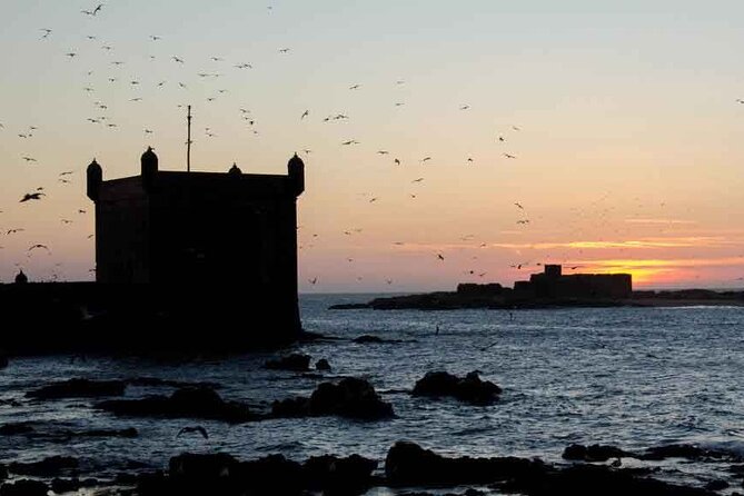 Full Day Trip To Essaouira From Marrakech - Group Size