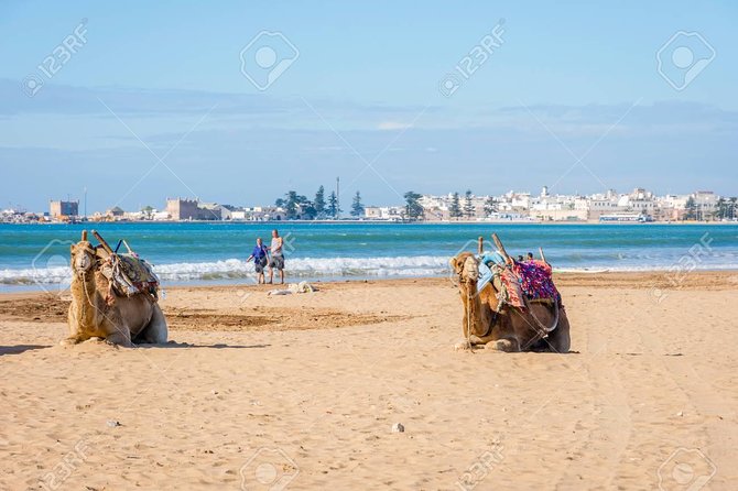 Full Day Trip to Essaouira Mogador and Atlantic Coast From Marrakech - Transportation Details