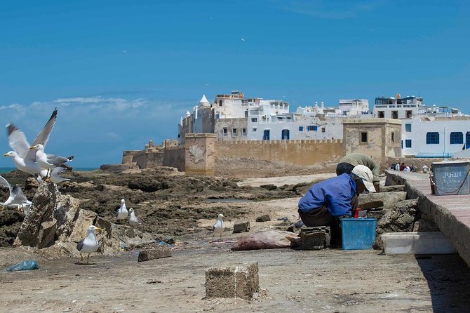 Full Day Trip to Essaouira Mogador and Atlantic Coast From Marrakech - Frequently Asked Questions