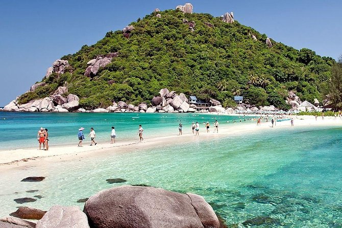 Full-Day Trip to Koh Tao and Koh Nang Yuan From Koh Samui by Speedboat - Reviews and Ratings