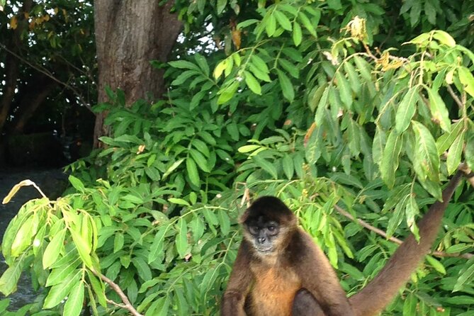 Full-Day Trip to Nicaragua - Cancellation Policy